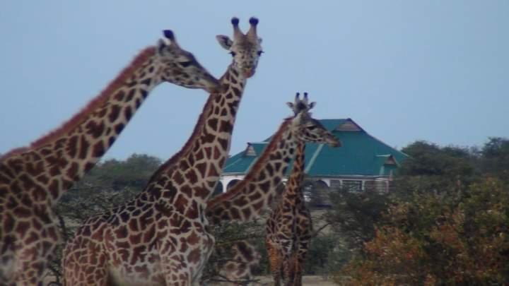 Narasha Homestay - Maasai Mara Talek Buitenkant foto