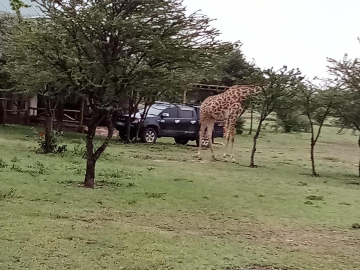 Narasha Homestay - Maasai Mara Talek Buitenkant foto