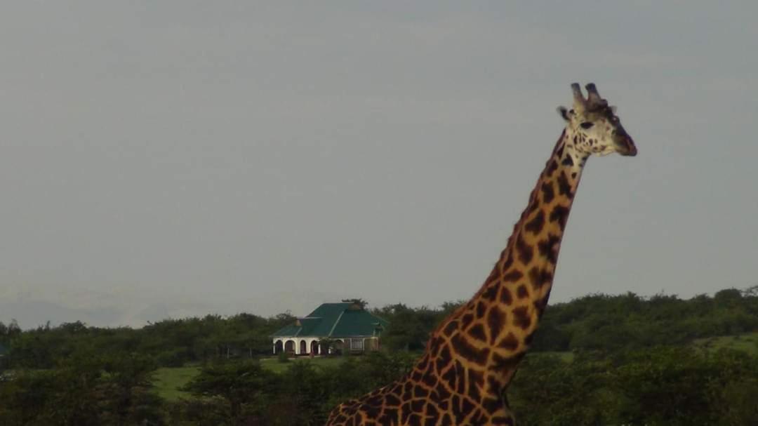 Narasha Homestay - Maasai Mara Talek Buitenkant foto