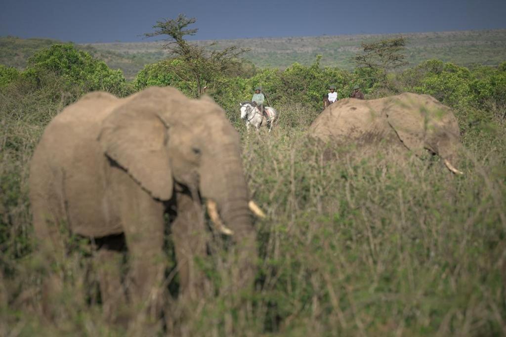 Narasha Homestay - Maasai Mara Talek Buitenkant foto