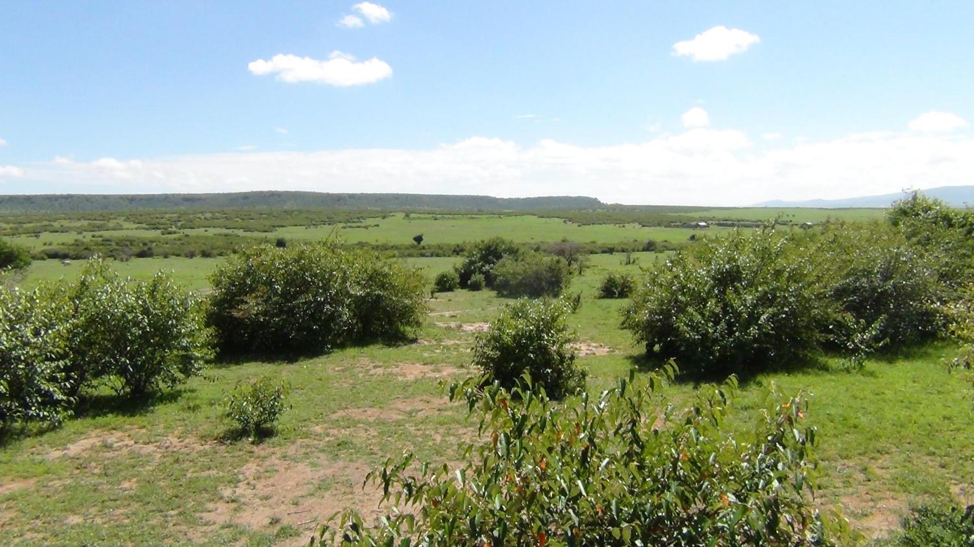 Narasha Homestay - Maasai Mara Talek Kamer foto