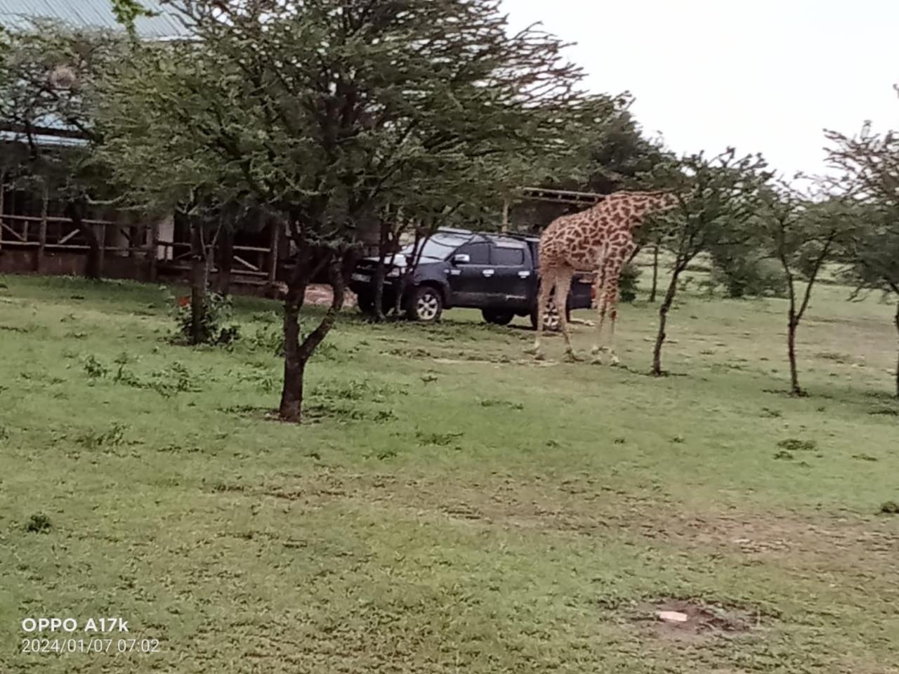 Narasha Homestay - Maasai Mara Talek Kamer foto