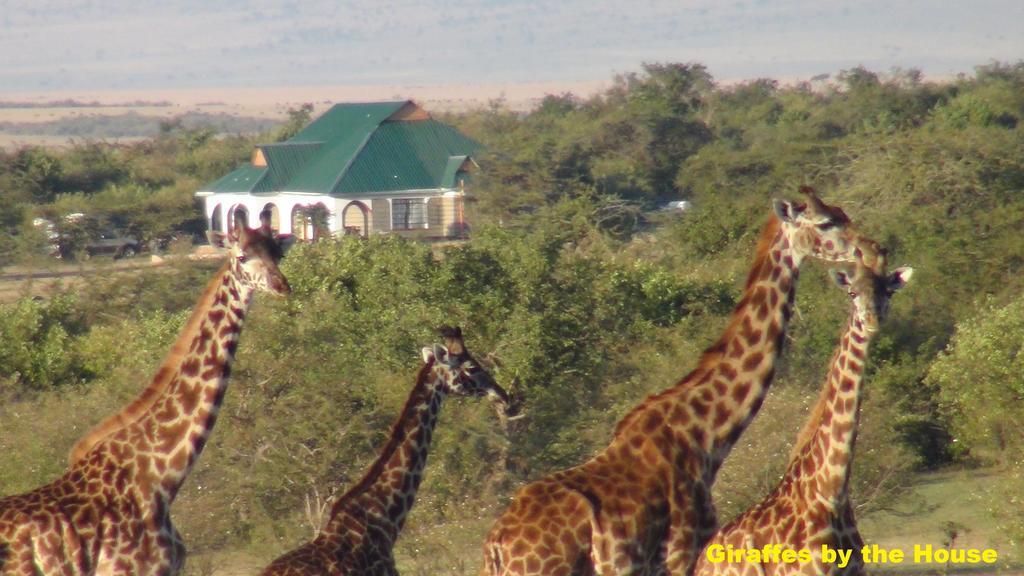 Narasha Homestay - Maasai Mara Talek Buitenkant foto