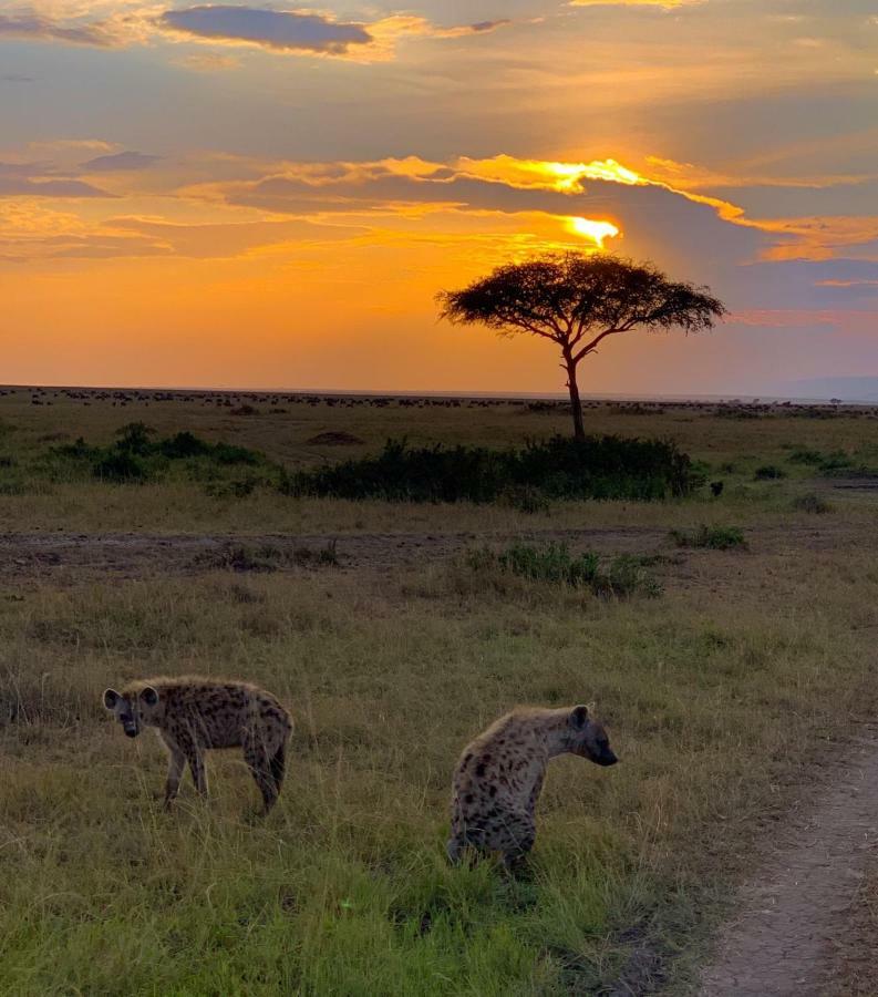 Narasha Homestay - Maasai Mara Talek Buitenkant foto